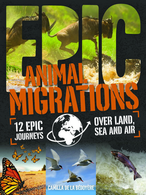 Title details for Animal Migrations by Camilla De La Bedoyere - Wait list